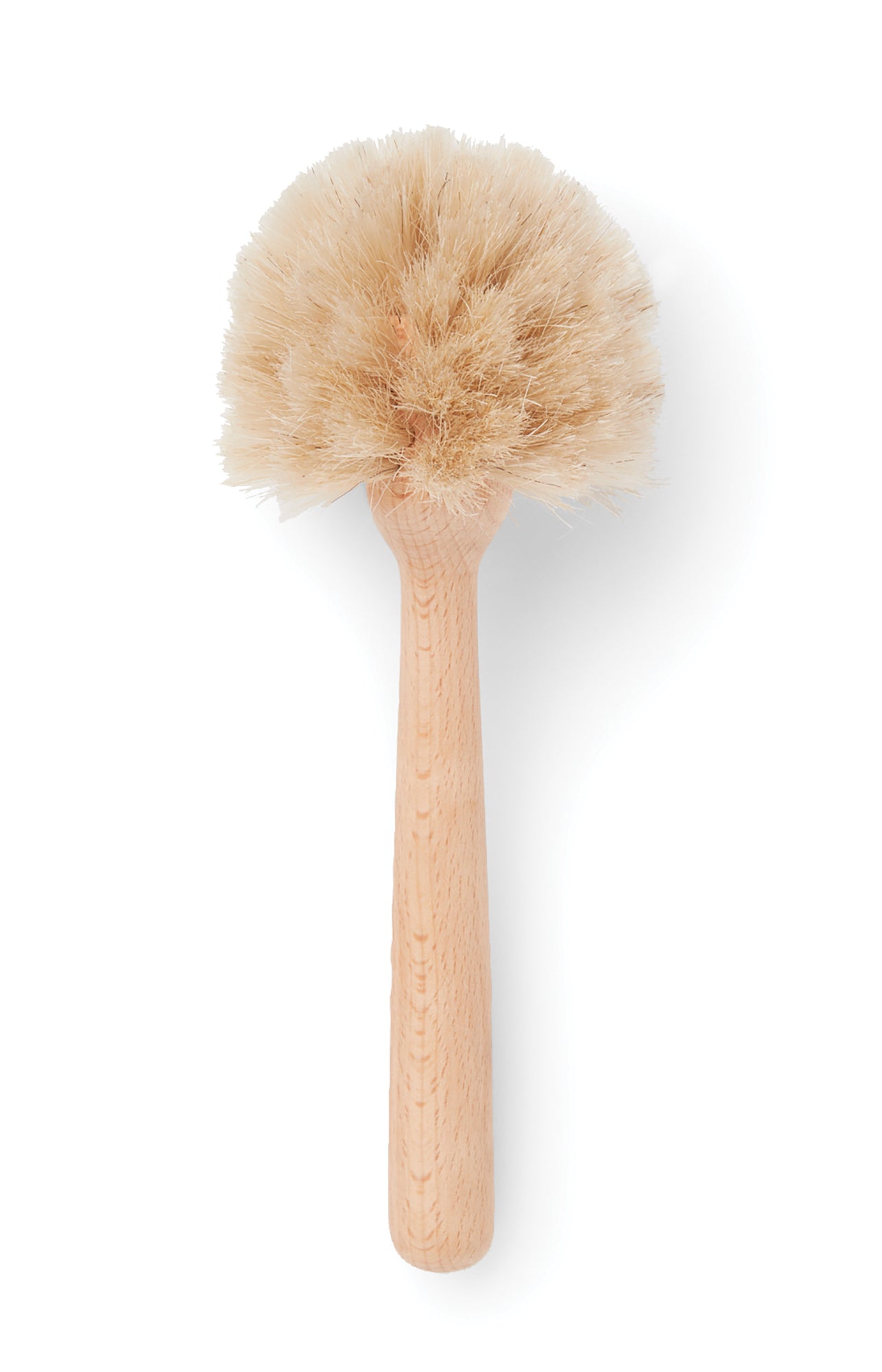 http://commonhousefly.com/cdn/shop/products/48768_DishBrush_2000_WS_2_1.jpg?v=1628009785