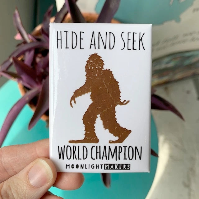 Magnet, Hide and Seek World Champion