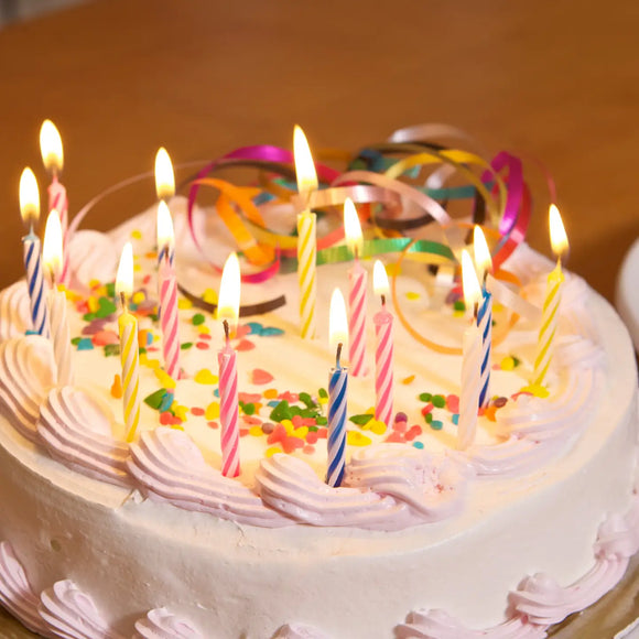 Fox Run Birthday Candle, 24 Ct