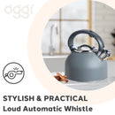 OGGI Stovetop Whistling Kettle, SS, Gray-4