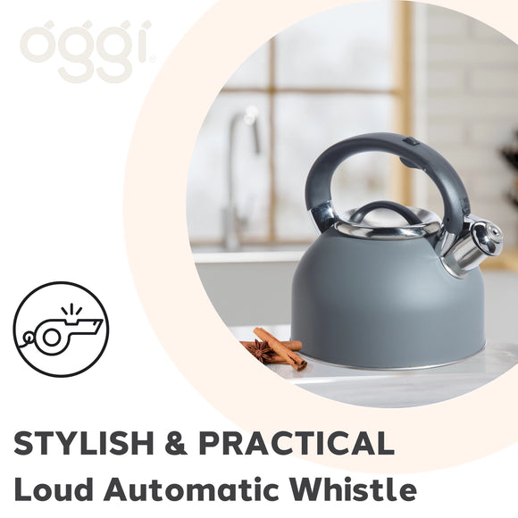 OGGI Stovetop Whistling Kettle, SS, Gray