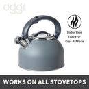 OGGI Stovetop Whistling Kettle, SS, Gray-3