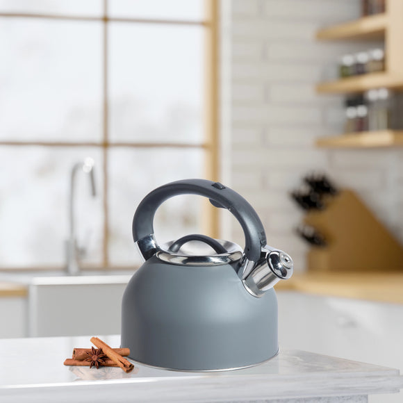 OGGI Stovetop Whistling Kettle, SS, Gray