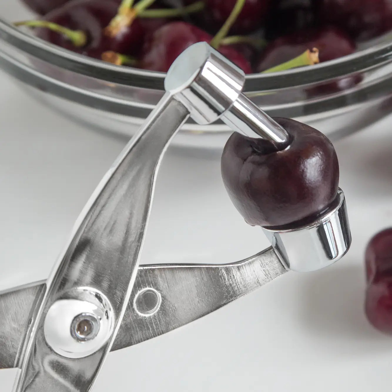 Fox Run Cherry/Olive Pitter