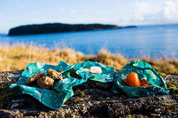 Bee's Wrap Assorted Pack, Multiple Designs