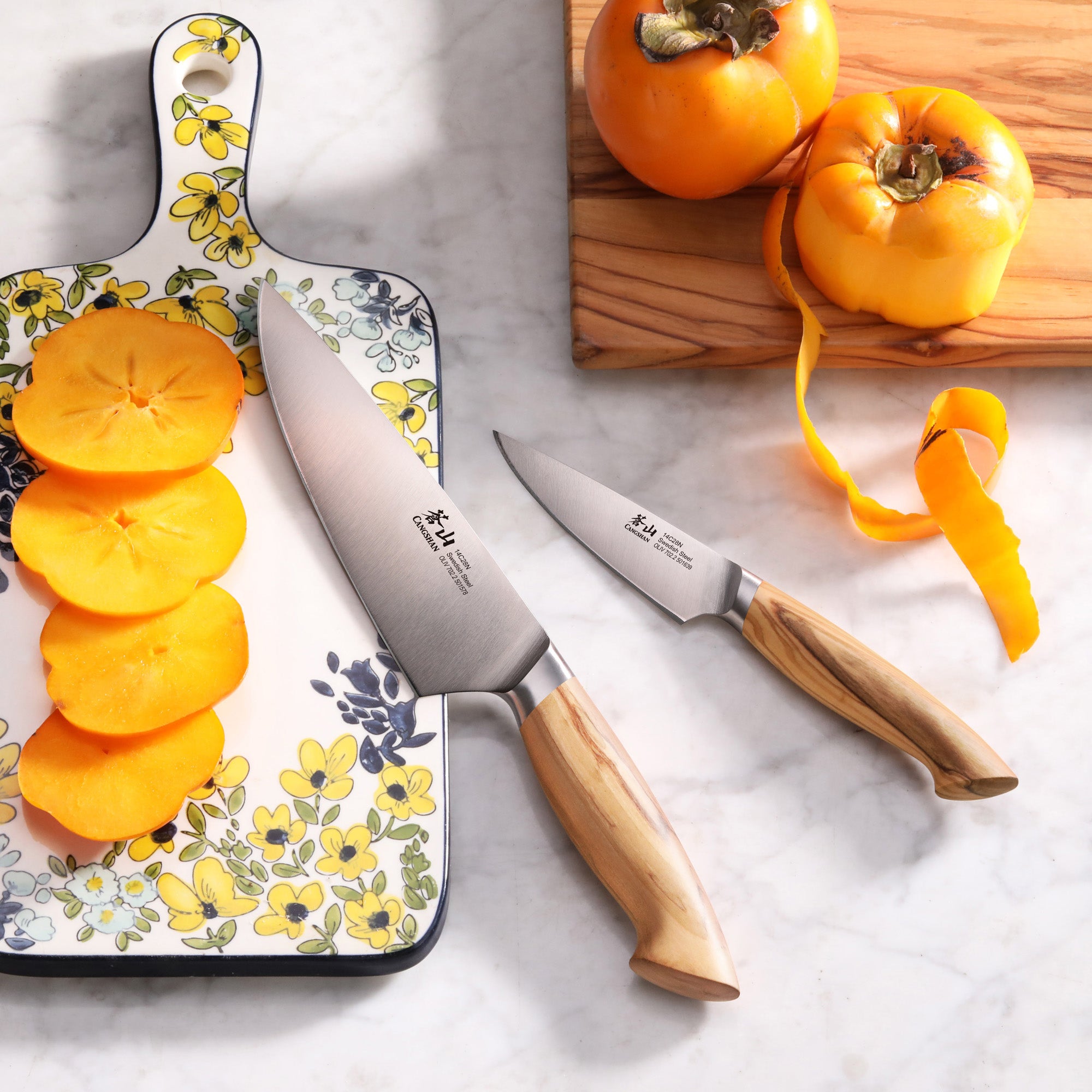 Cangshan OLIV 2-Piece Starter Knife Set | Common Housefly