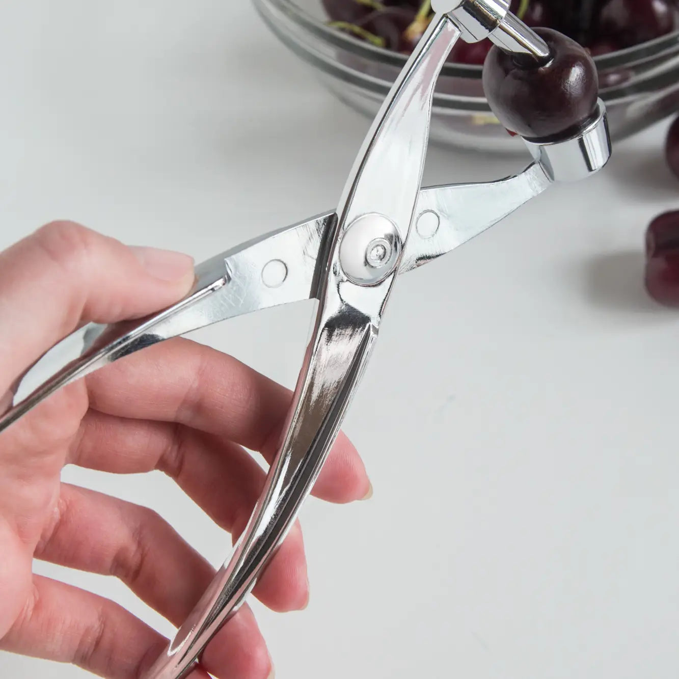 Fox Run Cherry/Olive Pitter