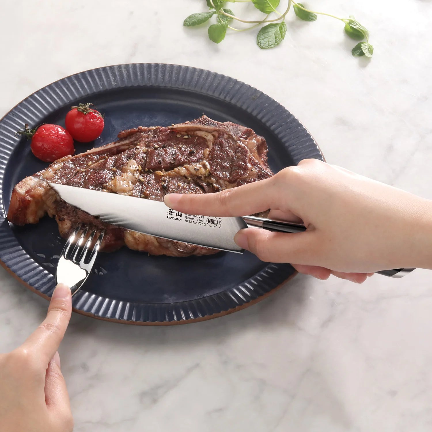 Cangshan HELENA Series 4-Piece Fine-Edge Steak Knife Set, Forged German Steel, Black