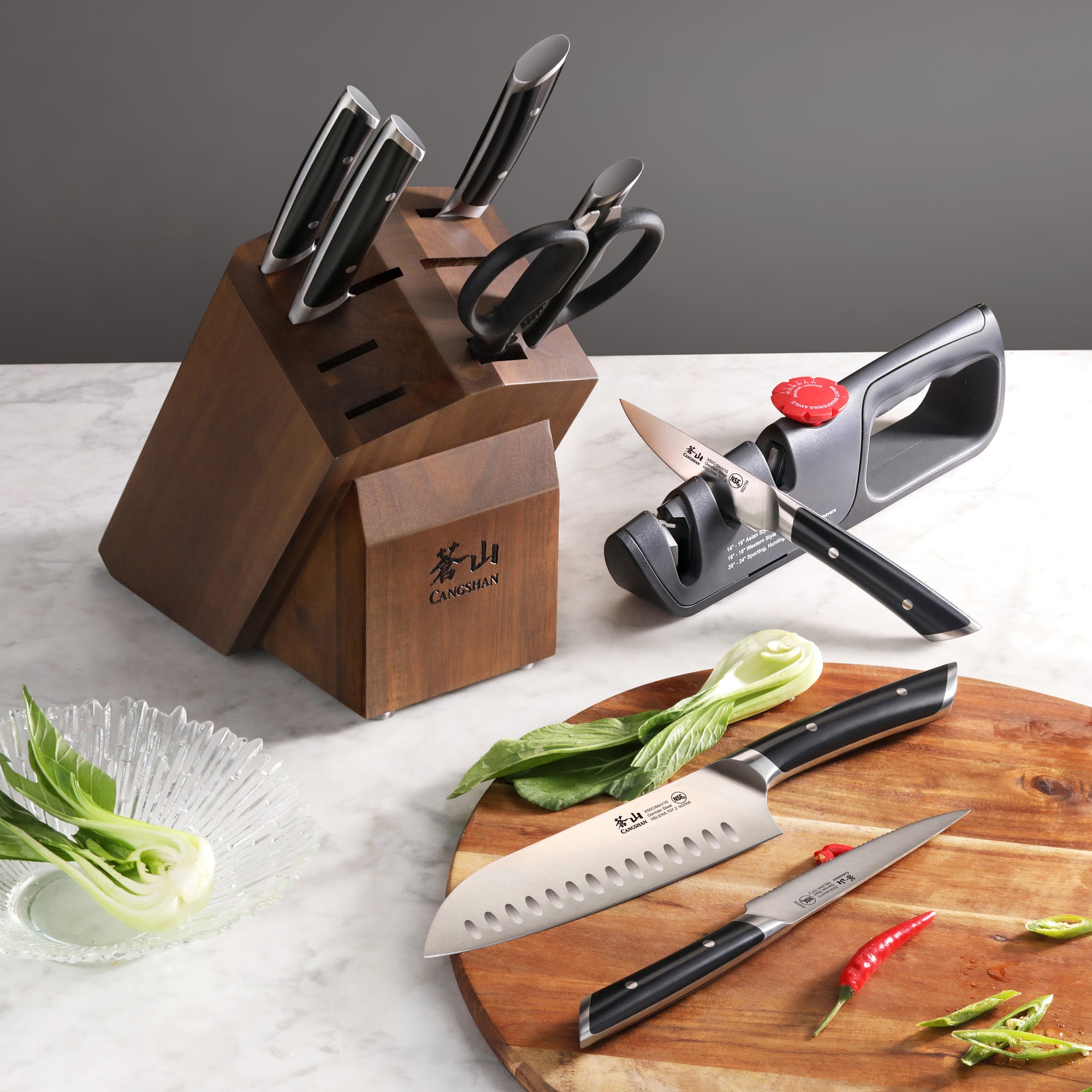 Cangshan HELENA Series German Steel 10-piece Knife Block Set, Black