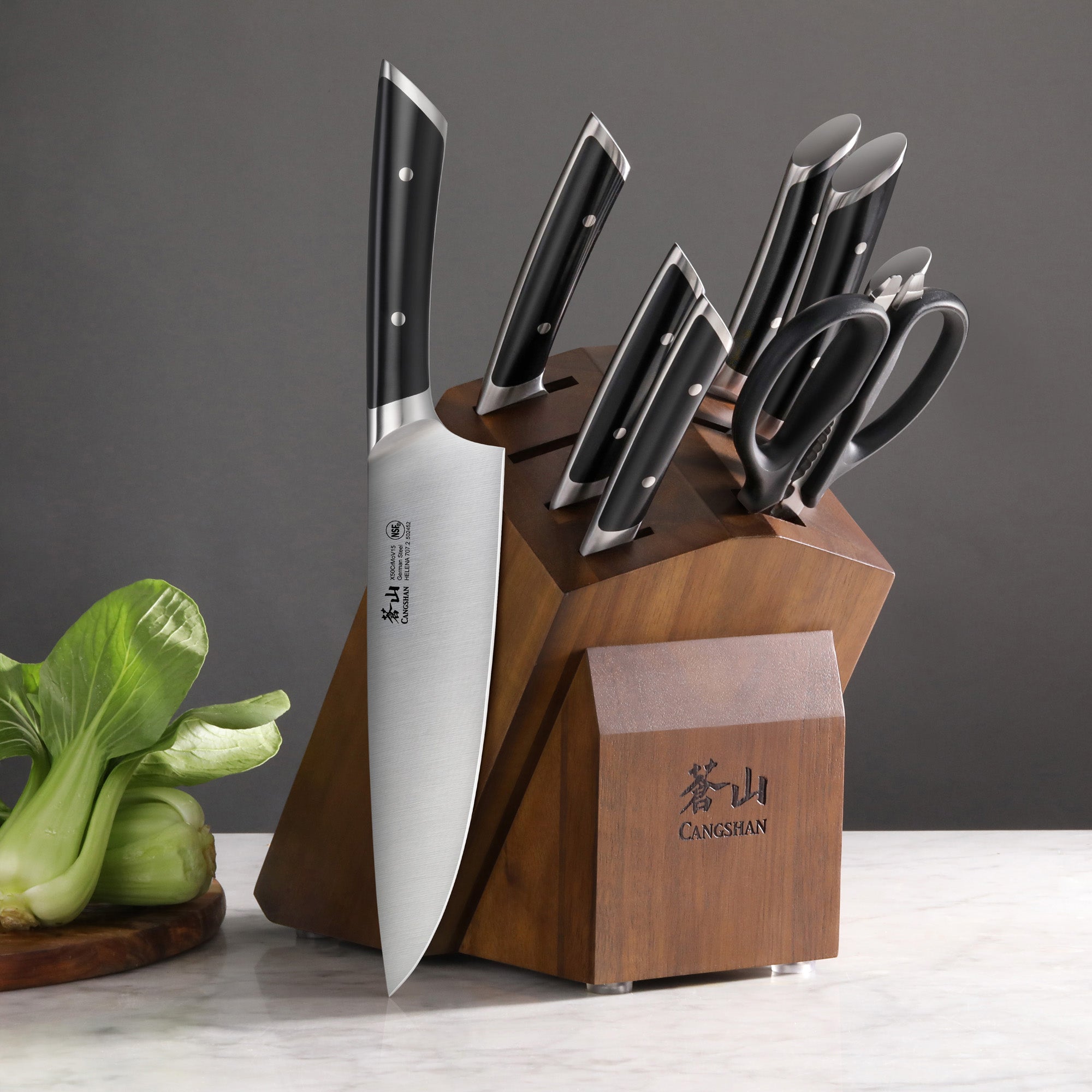 Cangshan HELENA Series German Steel 10-piece Knife Block Set, Black