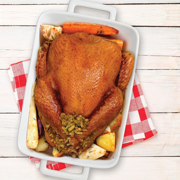 HIC Porcelain Lasagna Pan, White