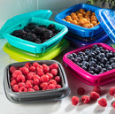 Bitty Berry Box, Multiple Colors-8