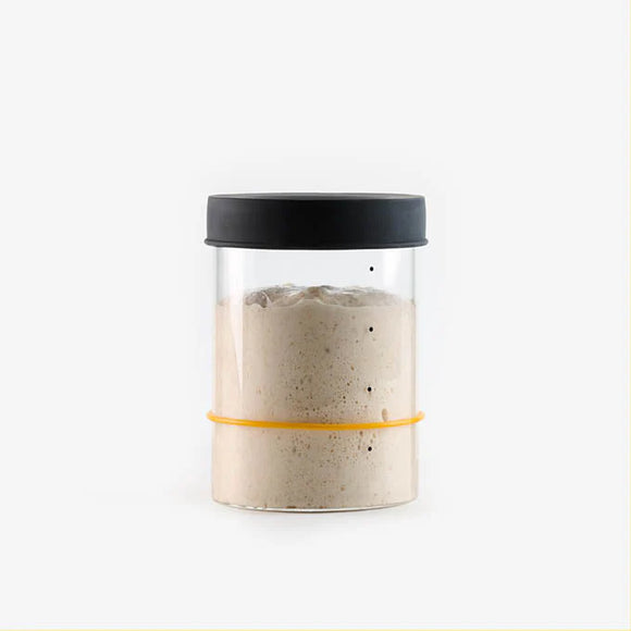 Sourhouse Starter Jars, Pint or Quart