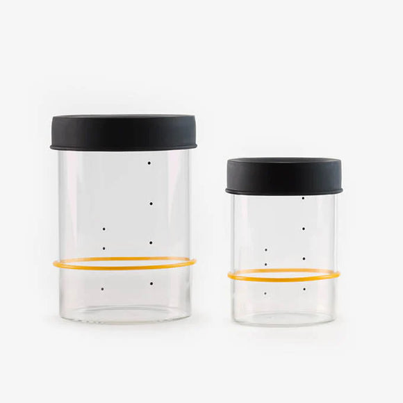 Sourhouse Starter Jars