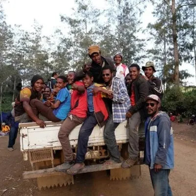 Dynamite Roasting Winter Seasonal - Papua New Guinea Timuza