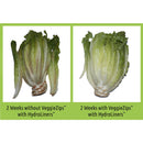 Bluapple VeggieZips™ with HydroLiners™, 10-Pack