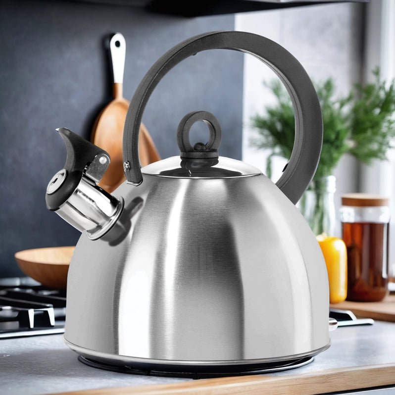 OGGI Stovetop Whistling Tea Kettle, Stainless