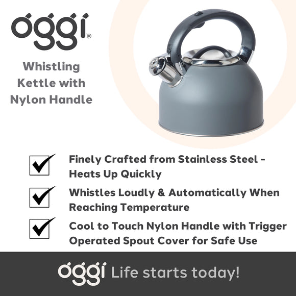 OGGI Stovetop Whistling Kettle, SS, Gray