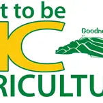 DoxieGuy BBQ Izzi’s Might Go Crazy BBQ Sauce, 12oz