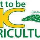 DoxieGuy BBQ Izzi’s Might Go Crazy BBQ Sauce, 12oz-4