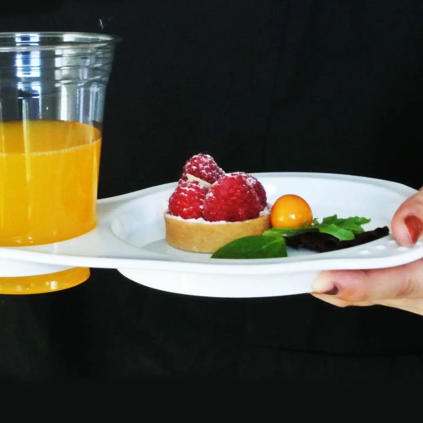 Appetizer Cocktail Plate with Wine Glass or Tumbler Holder