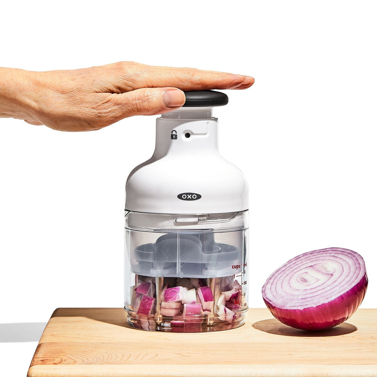 OXO Chopper | Common Housefly