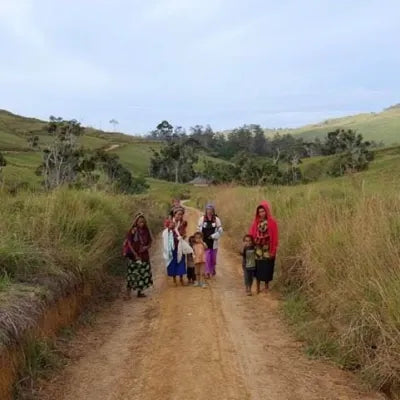 Dynamite Roasting Winter Seasonal - Papua New Guinea Timuza