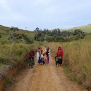 Dynamite Roasting Winter Seasonal - Papua New Guinea Timuza-6