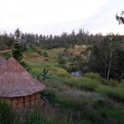 Dynamite Roasting Winter Seasonal - Papua New Guinea Timuza