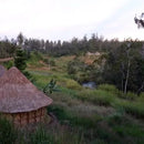 Dynamite Roasting Winter Seasonal - Papua New Guinea Timuza-5