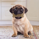 Cookie Cutter - Dog Bone-4