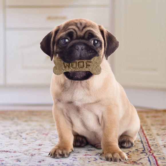 Cookie Cutter - Dog Bone