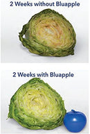 Bluapple Full-Year Combo Pack