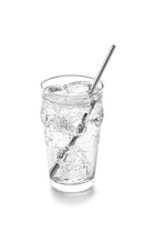 SS Drinking Straw Set of 4, w/Brush-4