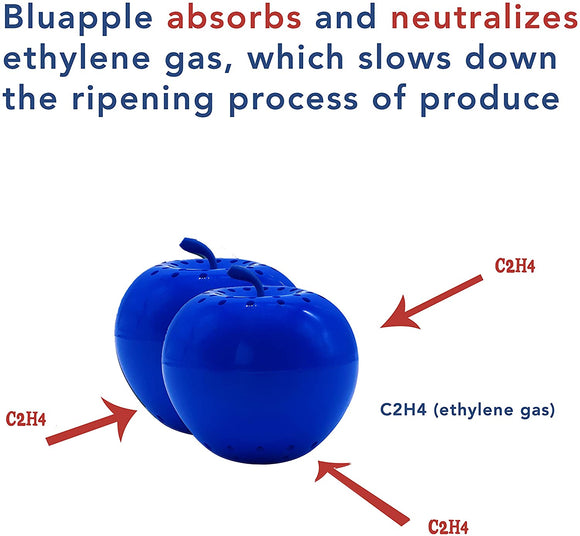 Classic Bluapple One Year Combo Pack