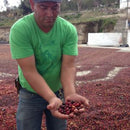 Dynamite Roasting Finca Cual Bicicleta - Natural Process Microlot-4