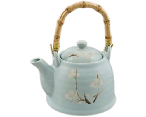 Teapot, 16 oz TP54