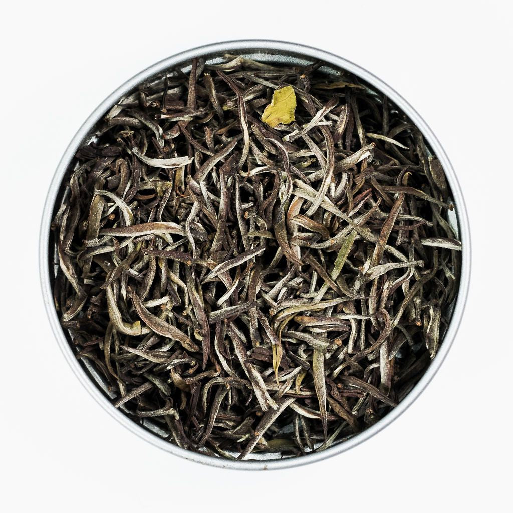 CLEARANCE: Tima Tea - Organic Silver Needles Tea